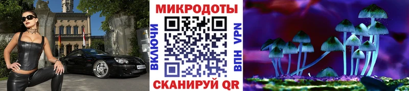 Галлюциногенные грибы мухоморы  Циолковский 
